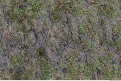 Photo of Various Textures